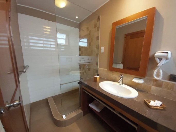 Bathroom 4, Hotel Heidinger, Oxapampa