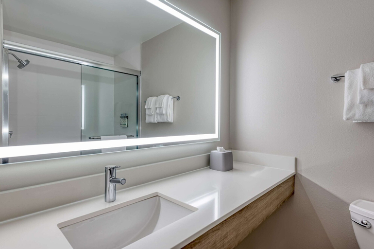 Bedroom 4, Holiday Inn Express & Suites BENSENVILLE - O'HARE, Dupage