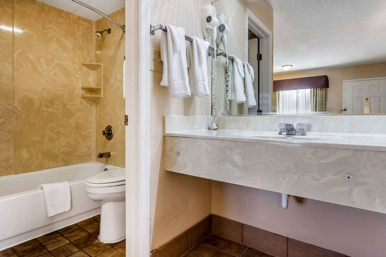 Bathroom 4, Rodeway Inn Augusta South, Richmond