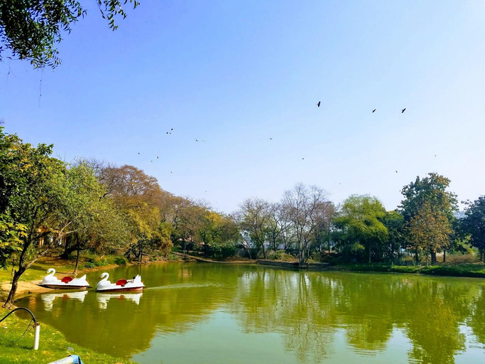 Others 4, Dabchick Tourist Resort, Palwal
