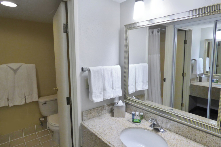 Bathroom 4, Radisson Hotel Akron/Fairlawn, Summit