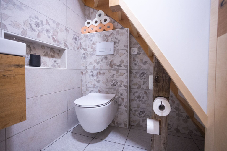 Bathroom 3, Vineyard cottage Sonce, Litija