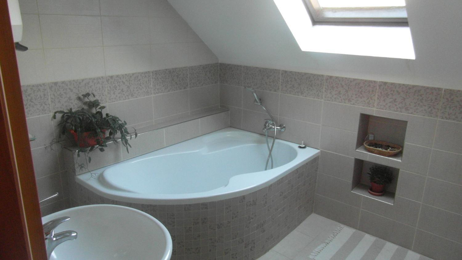 Bathroom 5, Apartment Rychtrovna, Liberec
