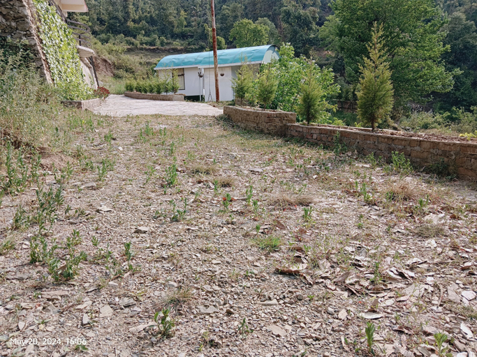 Others 5, Oak Retreat Huts, Shimla