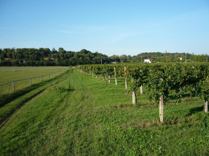 Others 4, Agriturismo Lupo Bianco, Mantua