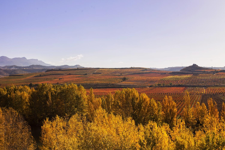 Others 5, Wine and Soul Suites, La Rioja
