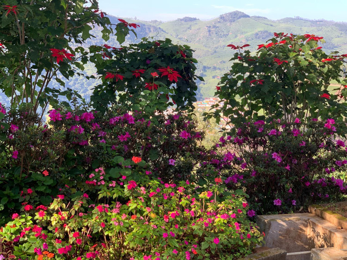 Others 5, Camellia Heights 1&2, The Nilgiris