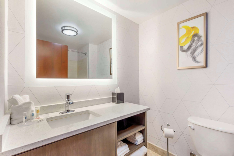 Bathroom 4, Comfort Suites Whitsett - Greensboro East, Guilford