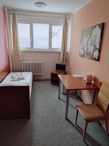 Others 5, BEST Hotel Garni, Olomouc