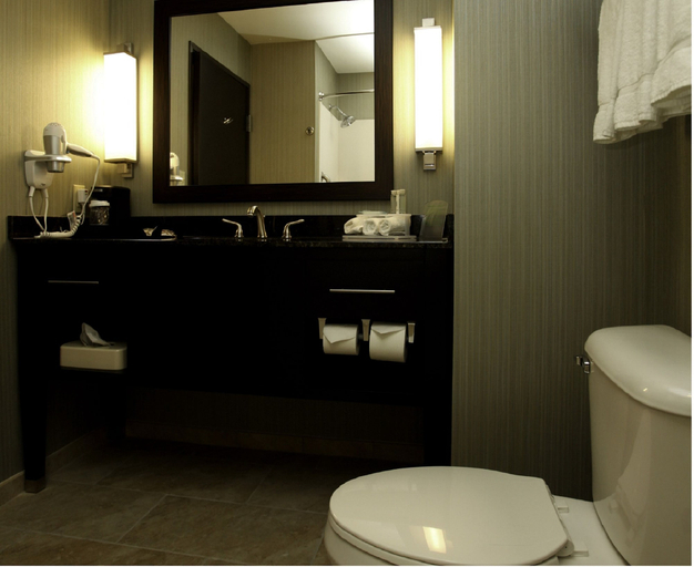 Bathroom 4, Holiday Inn Express & Suites MARION by IHG, Williamson