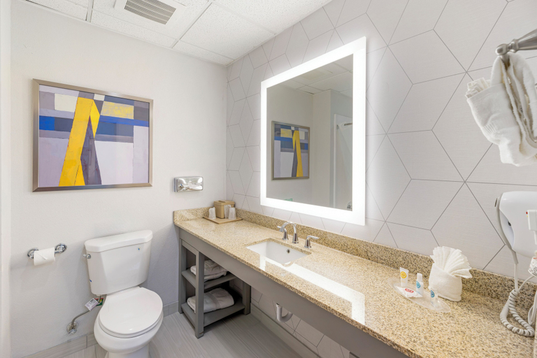 Bathroom 4, Comfort Suites Pecos, Reeves