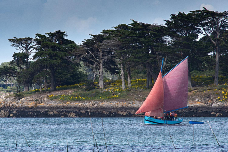 Others 5, Les Villas de Locmiquel BORD DE MER, Morbihan
