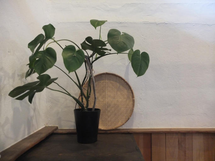 Others 5, YOMOGI GUESTHOUSE, Tokoname