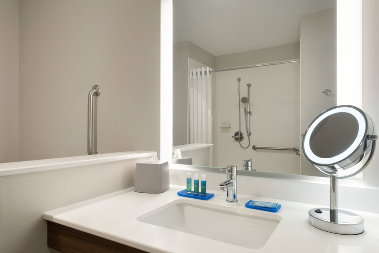 Bathroom 5, Holiday Inn Express & Suites WEST DES MOINES - JORDAN WEST, Dallas