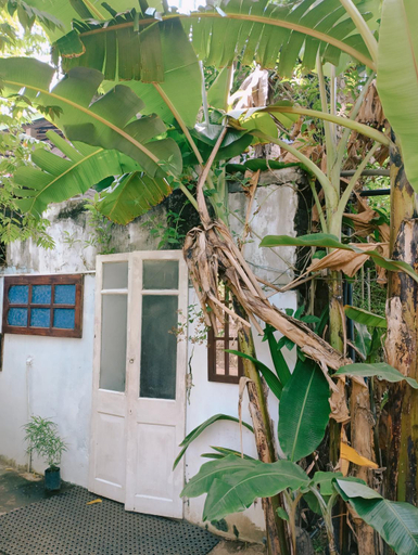 Exterior & Views 1, MALLARA Surf Chill Homestay, Pothuvil