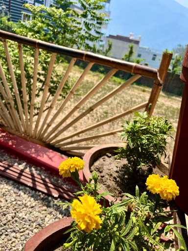 Others 4, Bamboo Garden Cottages and Cafe, Garhwal