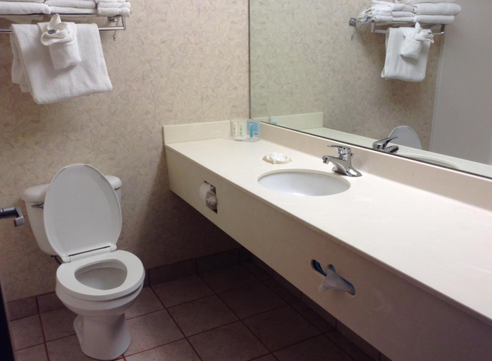 Bathroom 4, Bayside Hotel of Mackinac, Cheboygan