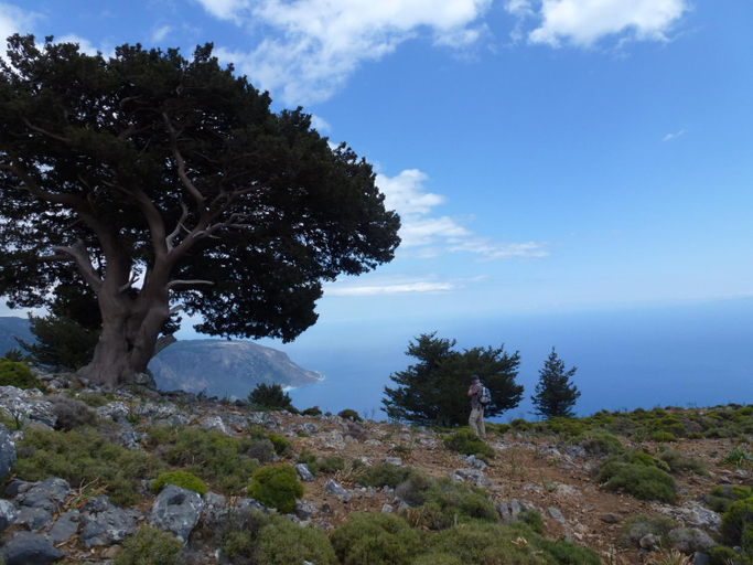 Others 3, Calypso, Crete