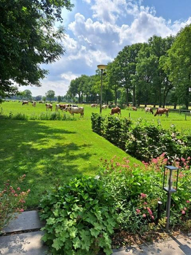 Others 2, Het Broekeroord, Oldebroek