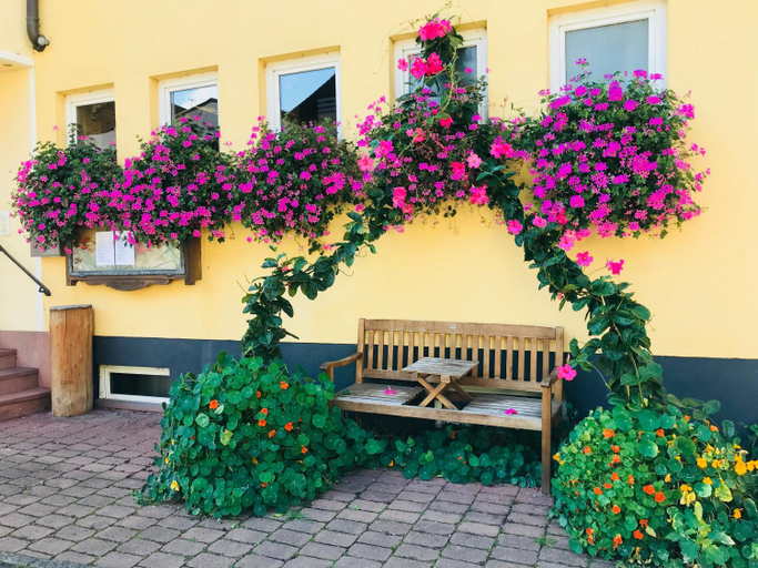 Exterior & Views 1, Hotel Zum Engel, Aschaffenburg