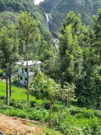 Others 3, Camellia Heights 1&2, The Nilgiris
