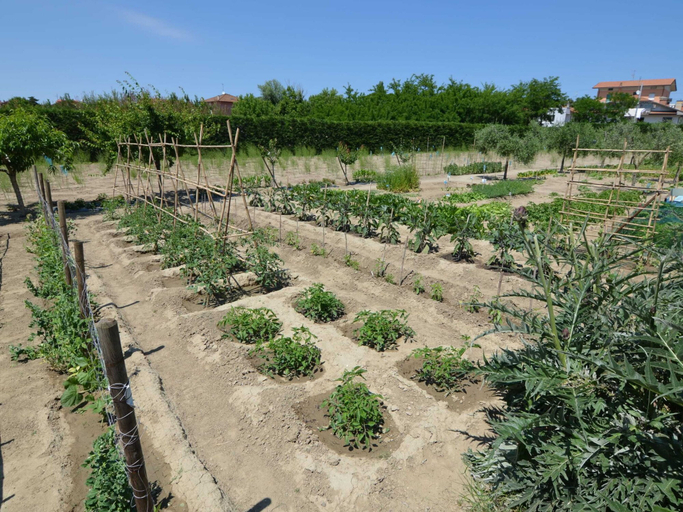 Others 5, Holiday Home Near the Beaches, Forli' - Cesena