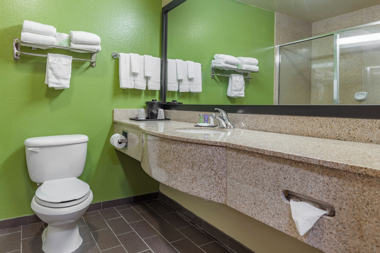 Bathroom 4, Sleep Inn & Suites Hewitt - South Waco, McLennan