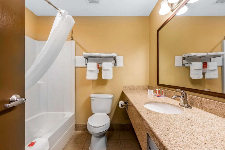 Bathroom 4, Econo Lodge Boaz, Marshall