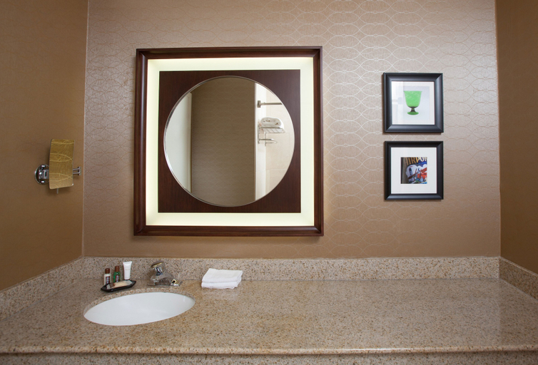 Bathroom 5, Sheraton Pittsburgh Airport Hotel, Allegheny