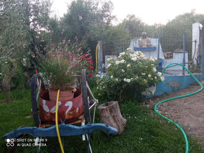 Others 4, BELLA-CAZA, East Macedonia and Thrace