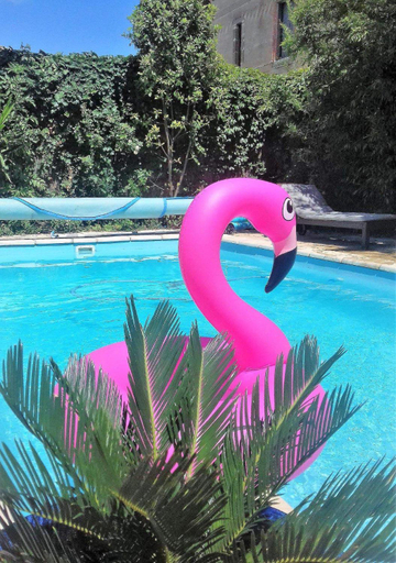 Sport & Beauty 2, La Villa Carcassonne, Chambres d hotes, B&B, face a la Cite Medievale, Aude