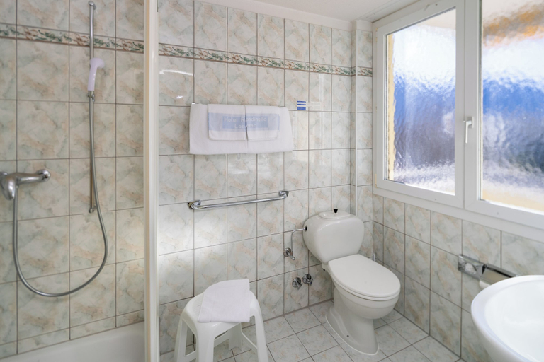 Bathroom 5, Hotel Rondinella Locarno, Locarno