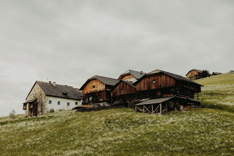 Others 4, CHALET D'ERT, Bolzano