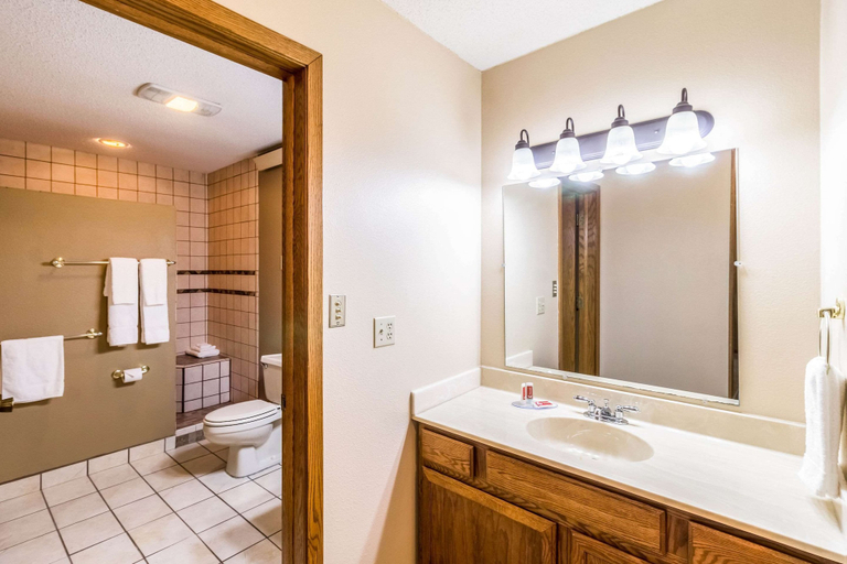 Bathroom 4, Econo Lodge Valley City, Barnes