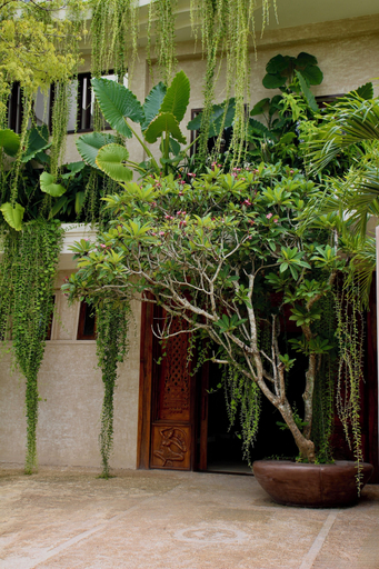 Exterior & Views 2, Spicepeek Boutique Hotel CMB Airport, Katana