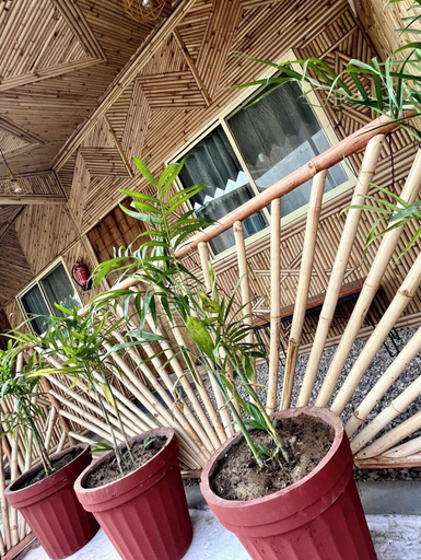 Others 5, Bamboo Garden Cottages and Cafe, Garhwal