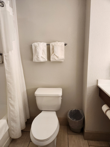Bathroom 4, Holiday Inn Express CRYSTAL RIVER by IHG, Citrus
