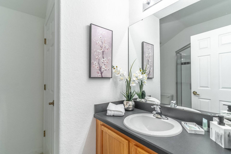 Bathroom 3, 169 Vizcay, Polk