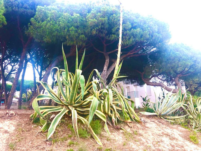 Others 2, Apartamentos Luxury Mazagon, Huelva