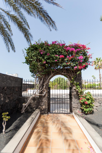 Garden, 4 bedroom Villa Mimi with private heated pool, Las Palmas