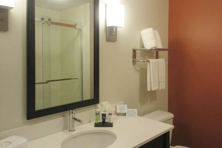 Bathroom 3, Sleep Inn & Suites Oregon - Madison, Dane