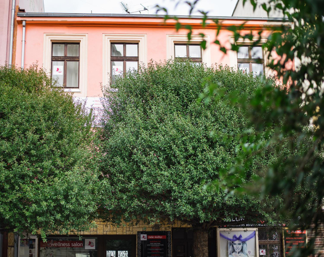 Others 4, Beauty-Spa Apartment, Děčín