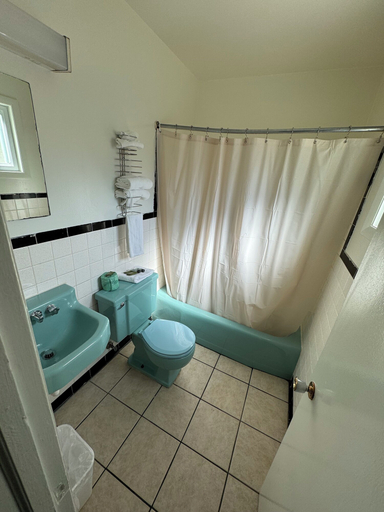 Bathroom 4, Acorn Motel, Buncombe