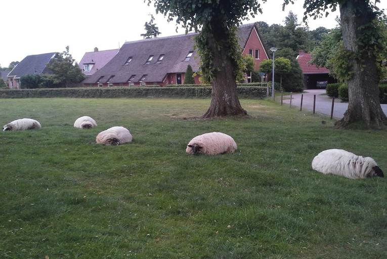 Others 2, B&B d'Olle Saks, Aa en Hunze