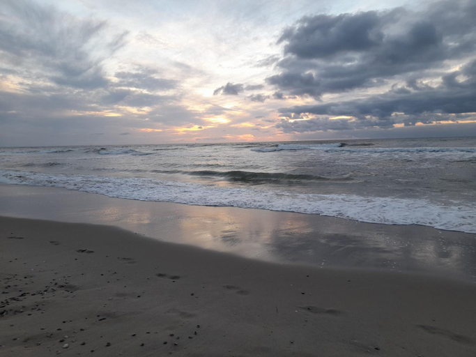 Others 4, 22up Bed & Koffie, Texel