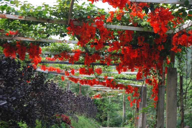 Others 5, Finca Jardin del Agua, La Vega