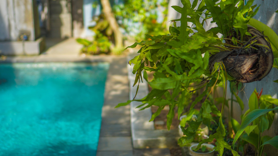 Sport & Beauty 3, Dirga's House Sanur View by EPS, Denpasar