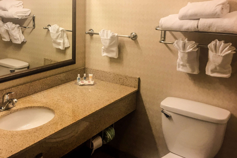 Bathroom 4, Comfort Inn & Suites Harrisonville, Kansas City