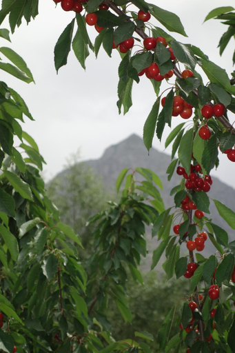 Others 5, Xhansa Hotel Skardu, Northern Areas
