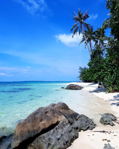 Others 4, L'isola Che… (permanently closed), Jepara